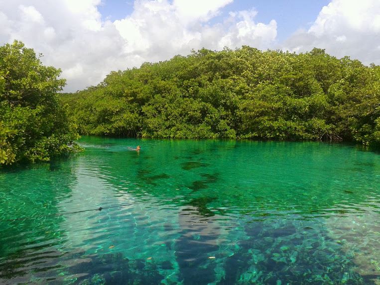 cenote-manati-transporte-turistico