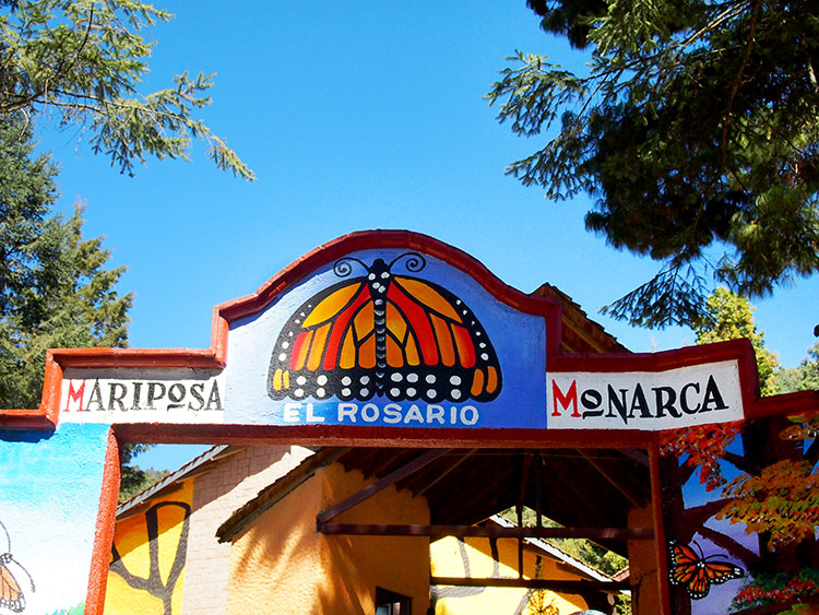 santuario-el-rosario-michoacan
